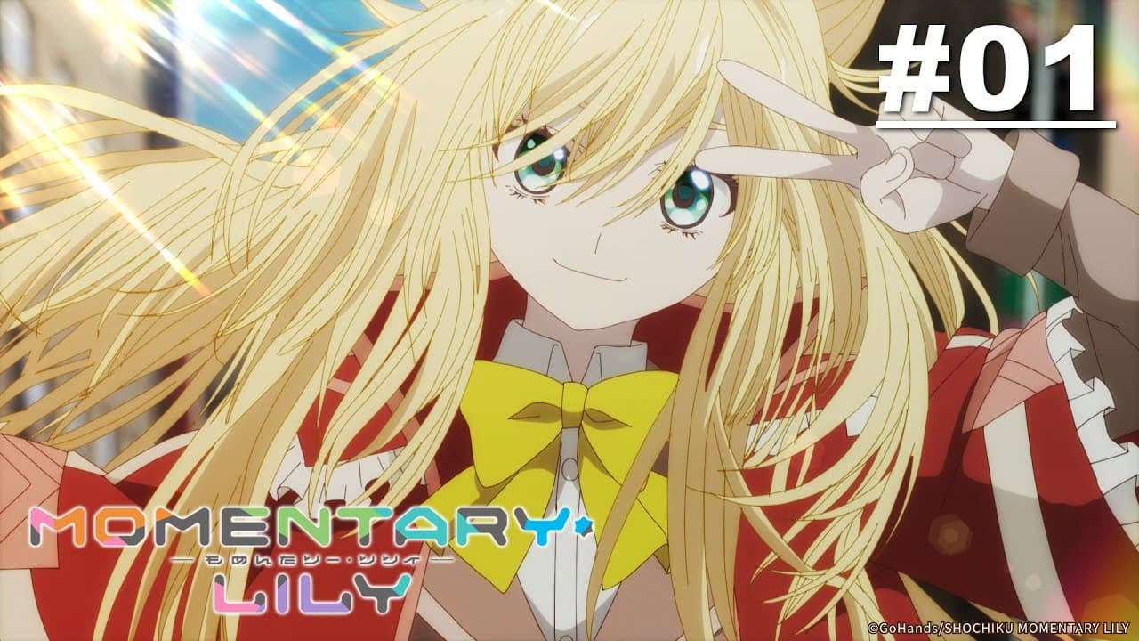 Momentary Lily