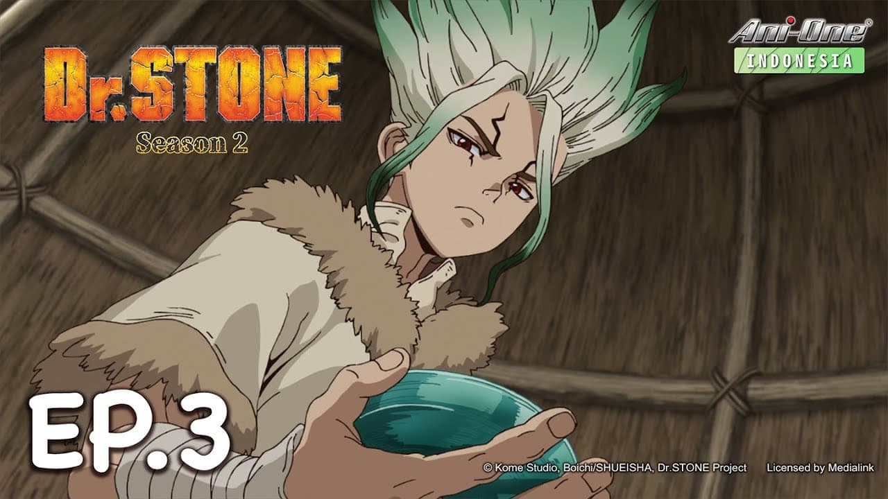 Dr.STONE