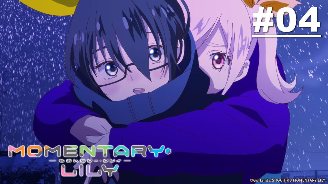 Momentary Lily