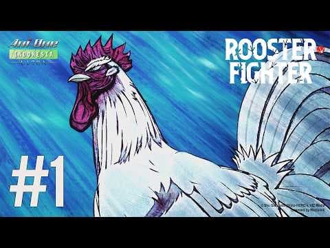 Rooster Fighter