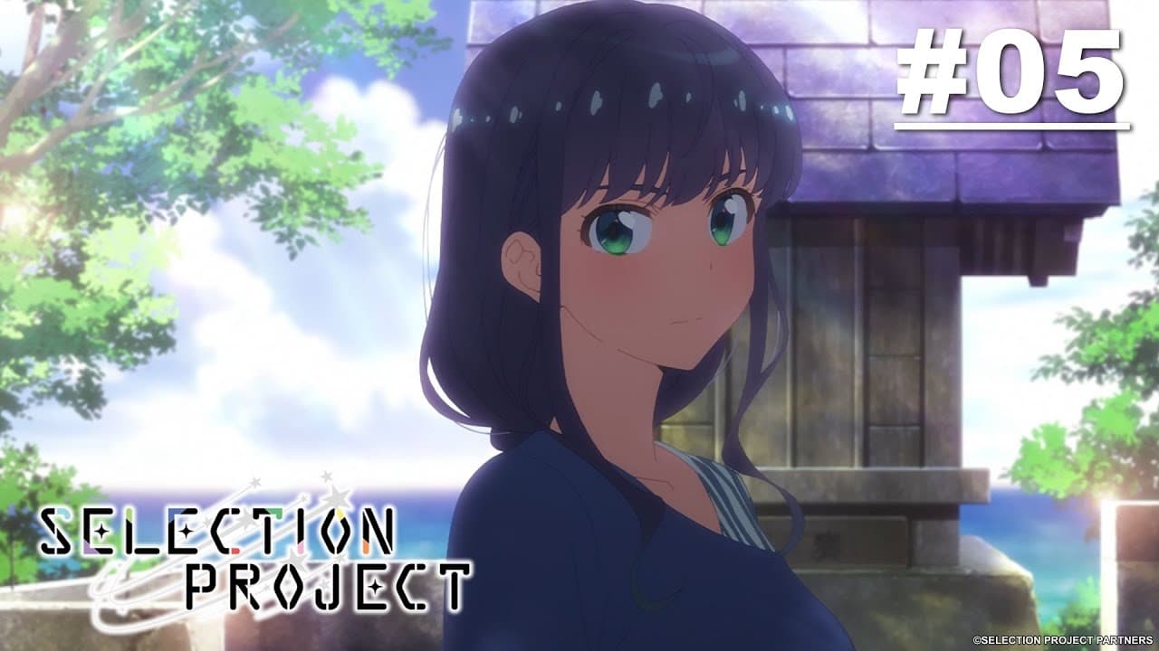 SELECTION PROJECT