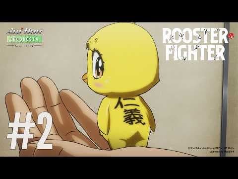 Rooster Fighter
