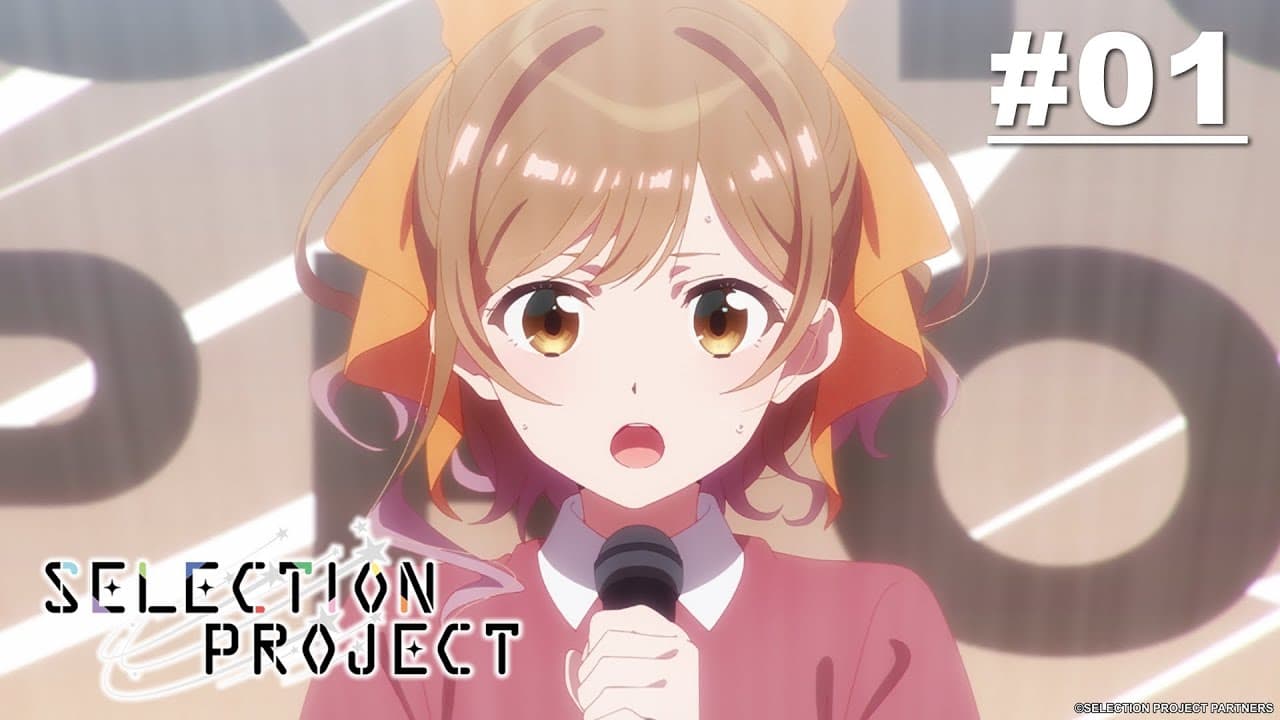SELECTION PROJECT