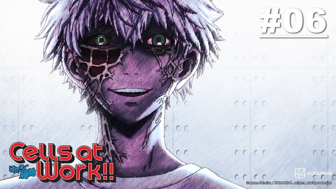 Cells at Work!! Hataraku Saibou