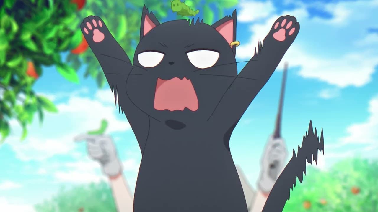 The Classroom of a Black Cat and a Witch