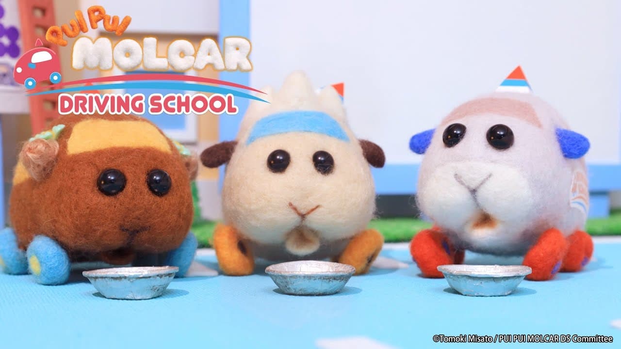 PUI PUI Molcar Driving School