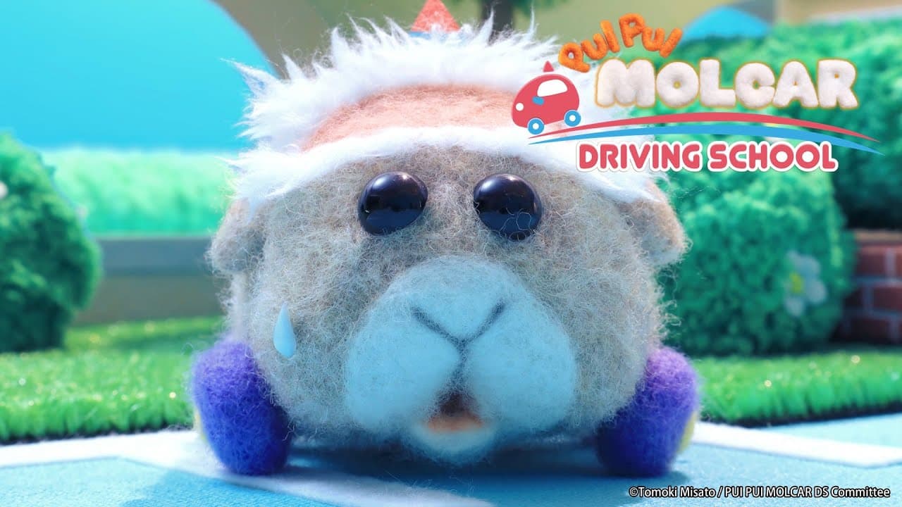 PUI PUI Molcar Driving School