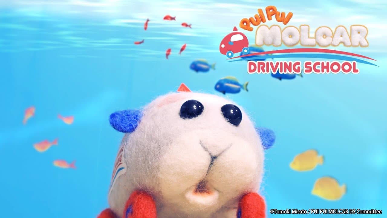 PUI PUI Molcar Driving School