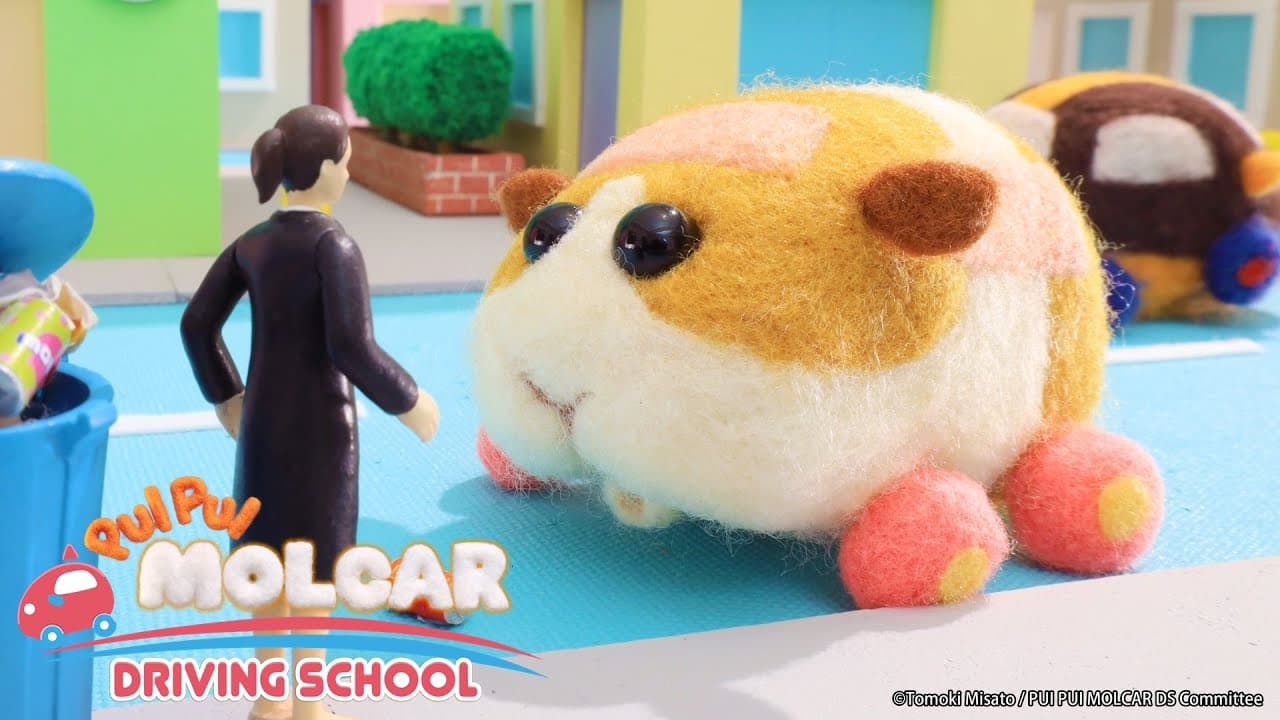 PUI PUI Molcar Driving School