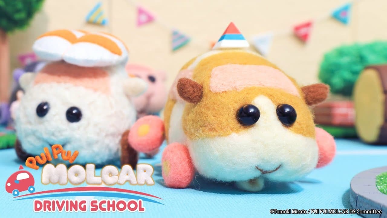 PUI PUI Molcar Driving School