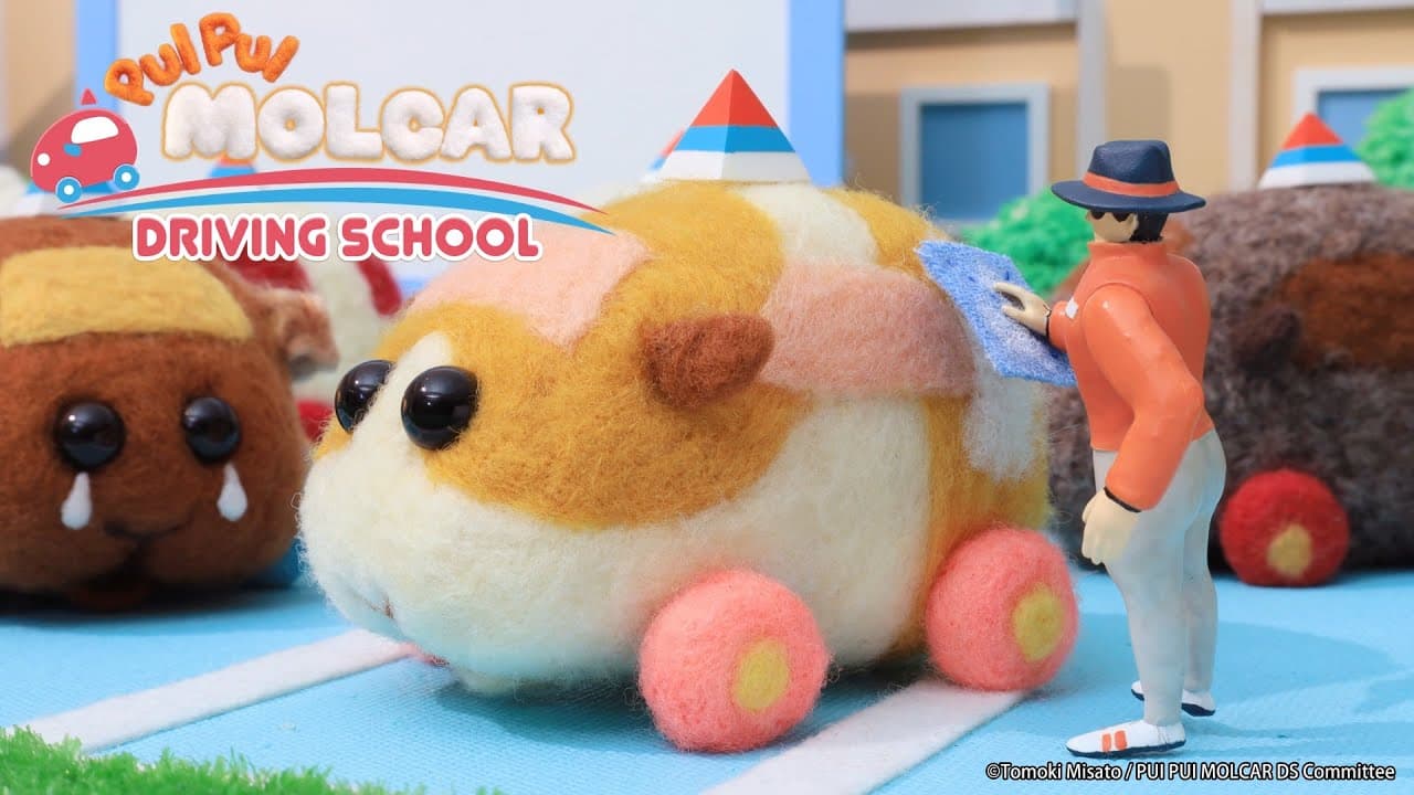 PUI PUI Molcar Driving School