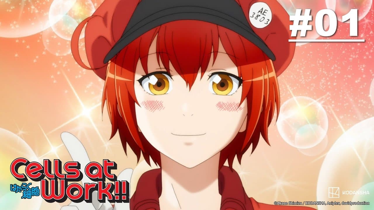 Cells at Work!! Hataraku Saibou