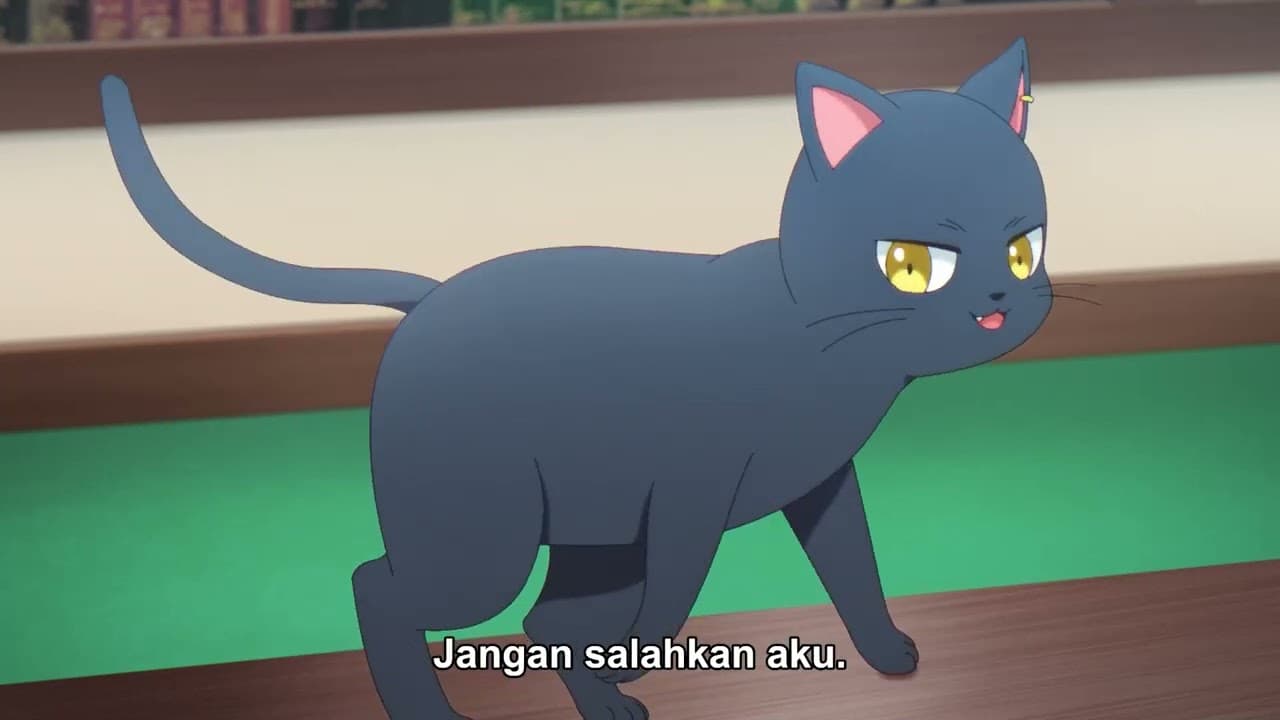 The Classroom of a Black Cat and a Witch
