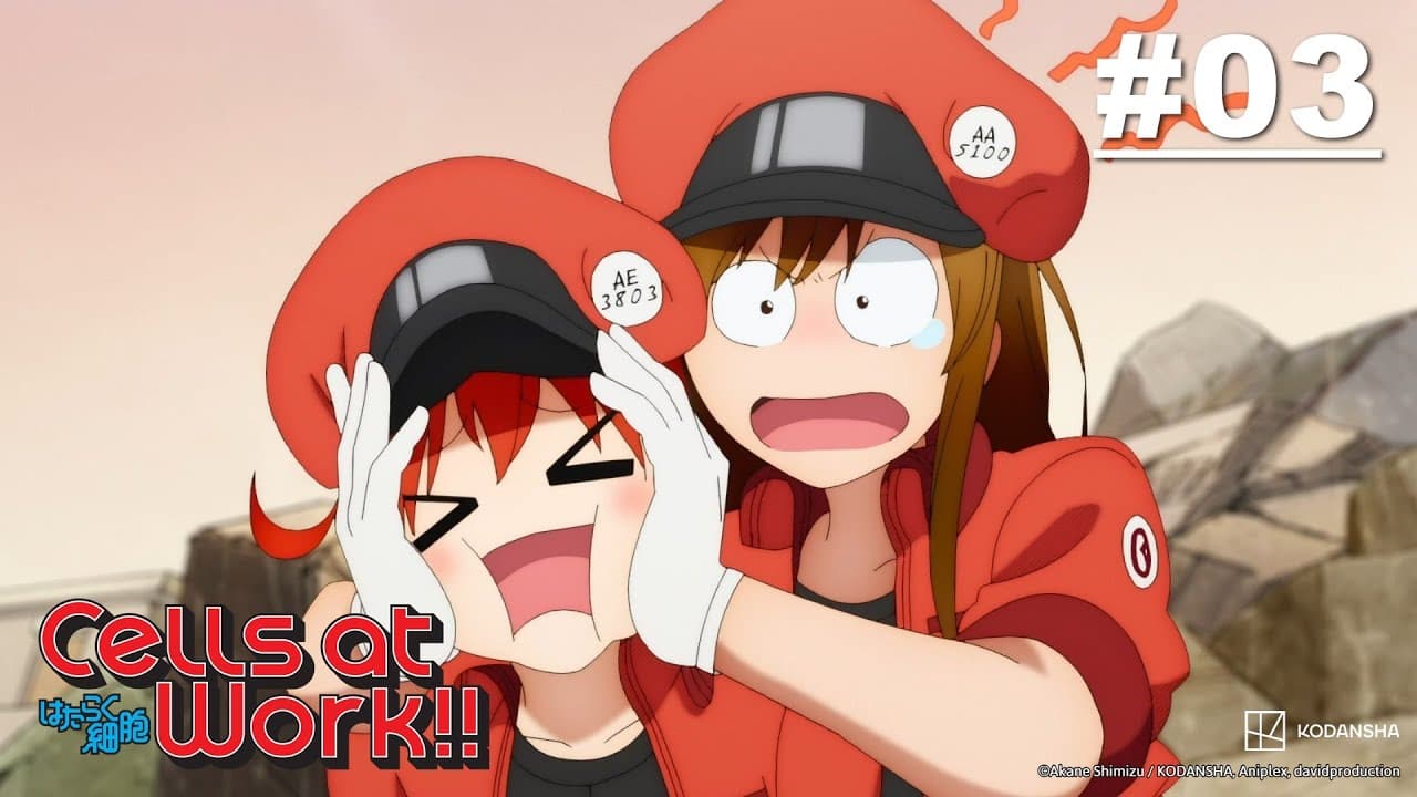 Cells at Work!! Hataraku Saibou